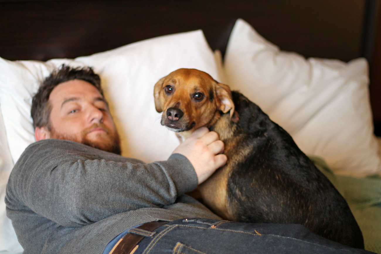 Pet Friendly Hotels and Travel Tips