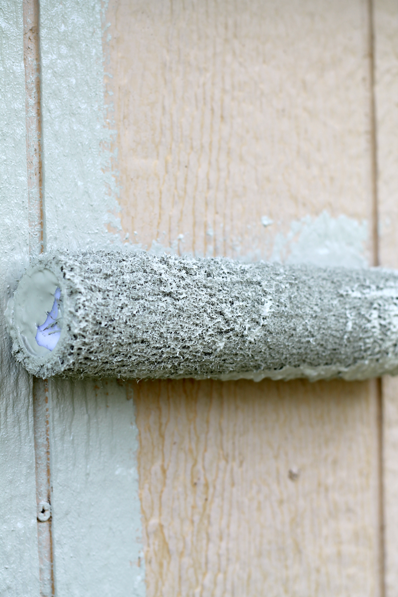 Budget-Friendly Shed Makeover