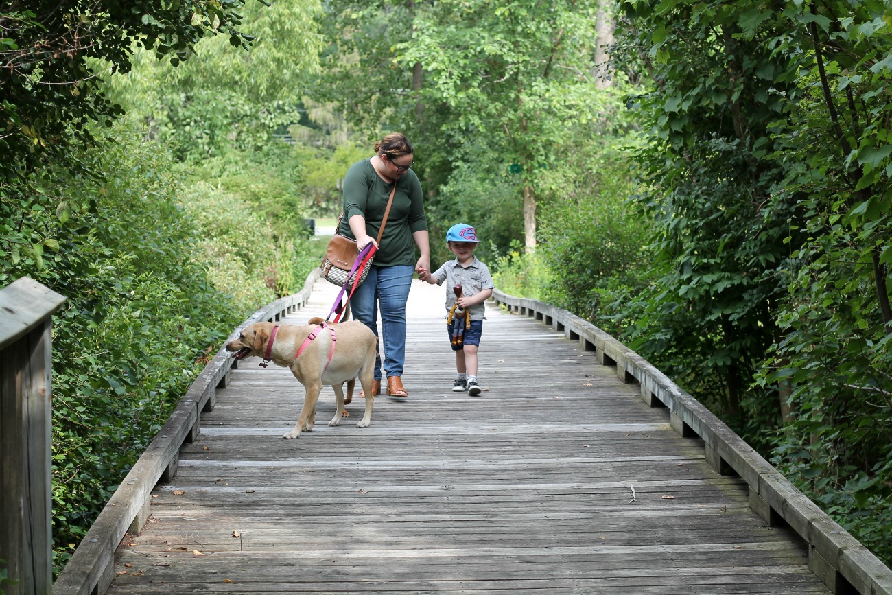 5 Things Kids Learn from Having a Pet