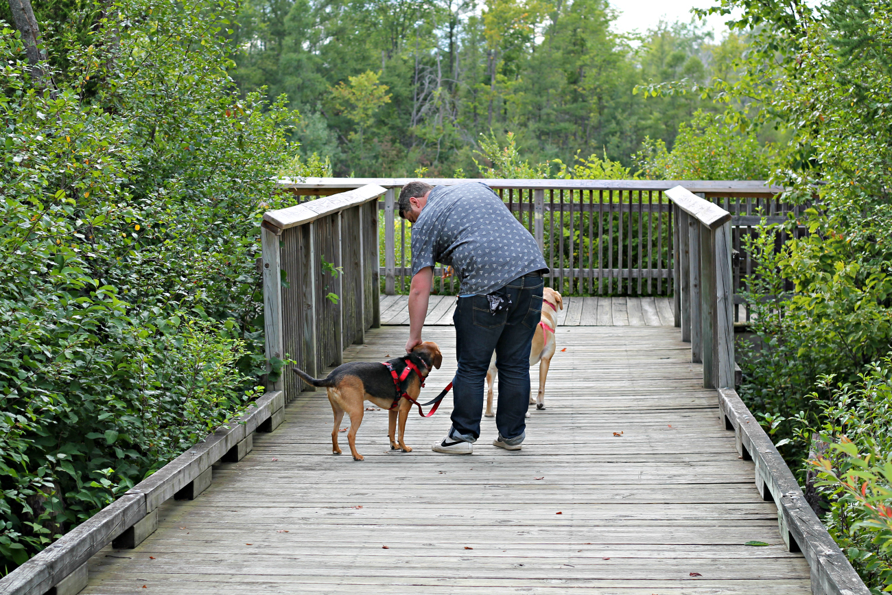 5 Things Kids Learn from Having a Pet