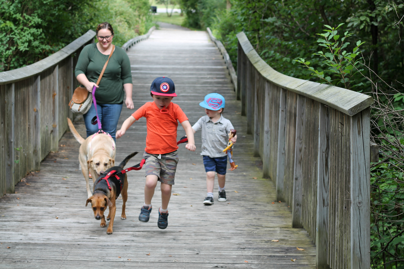 5 Things Kids Learn from Having a Pet