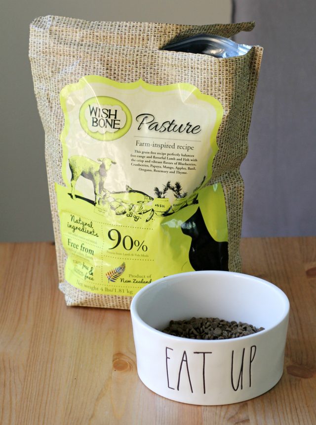 Gluten-Free Cat Food New And Innovative Ingredients photo