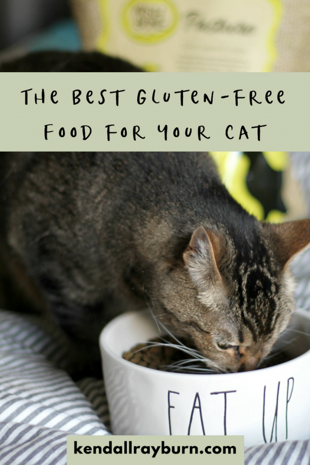 Gluten Free Cat Food