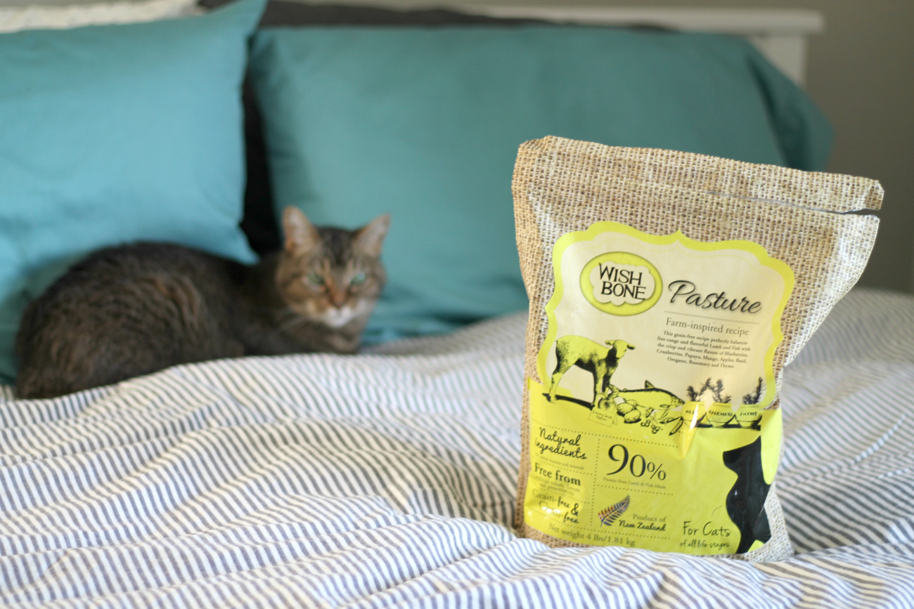 Gluten-Free Cat Food