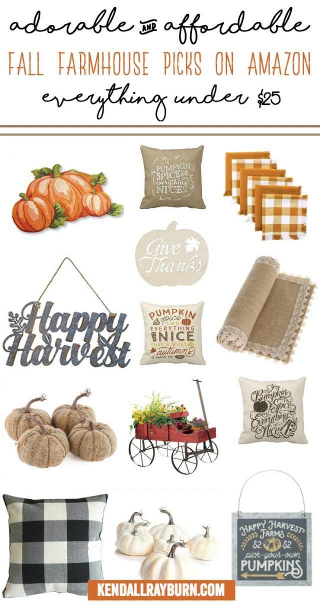 Adorable and Affordable Farmhouse Fall Decor on Amazon