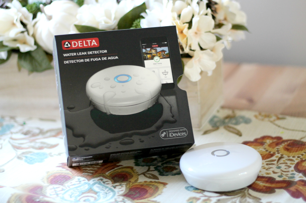 Prevent Water Damage with the Delta® Leak Detector