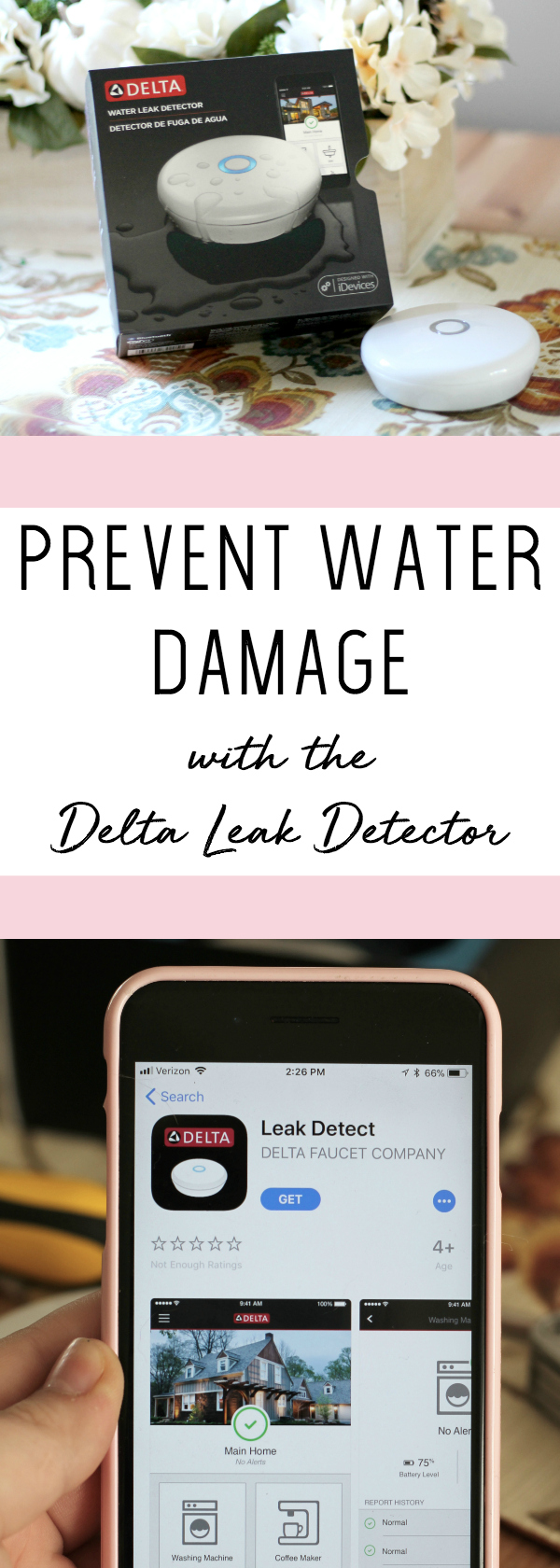 Prevent Water Damage with the Delta® Leak Detector