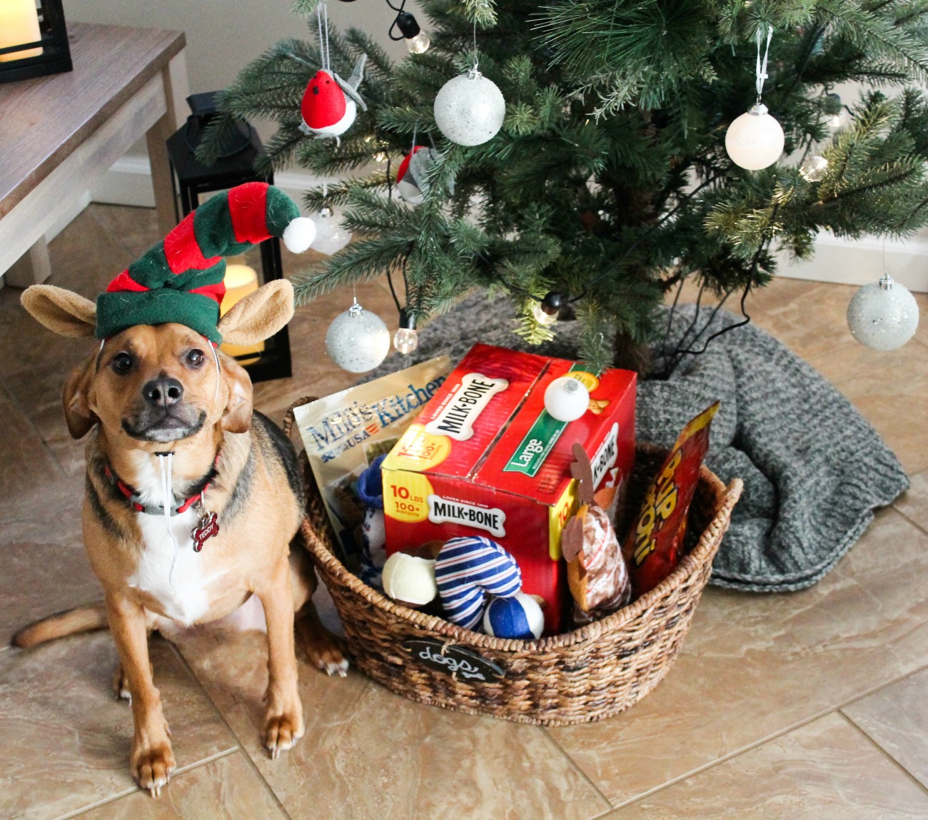 How to Assemble the Perfect Present for Your Pup