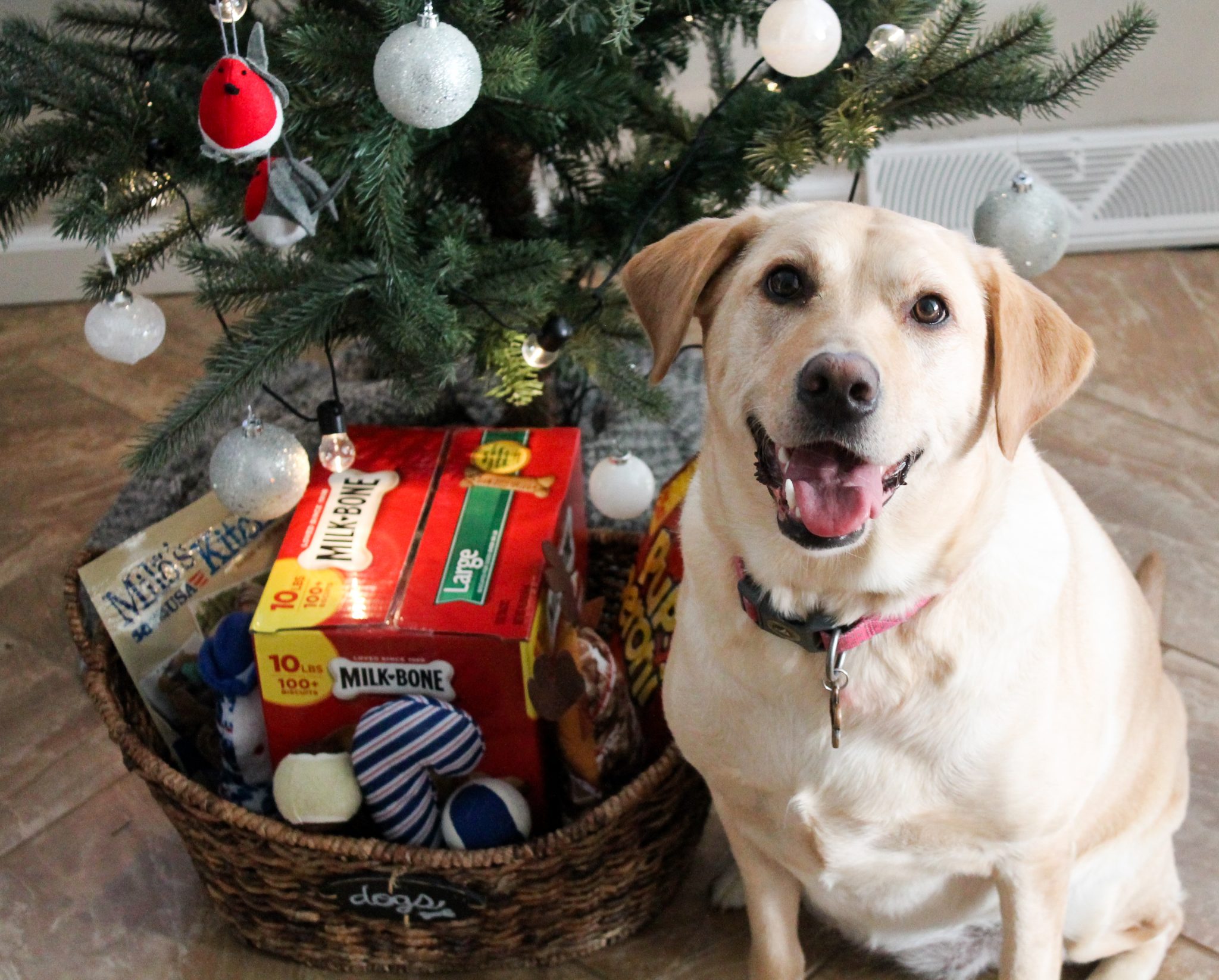 How to Assemble the Perfect Present for Your Pup