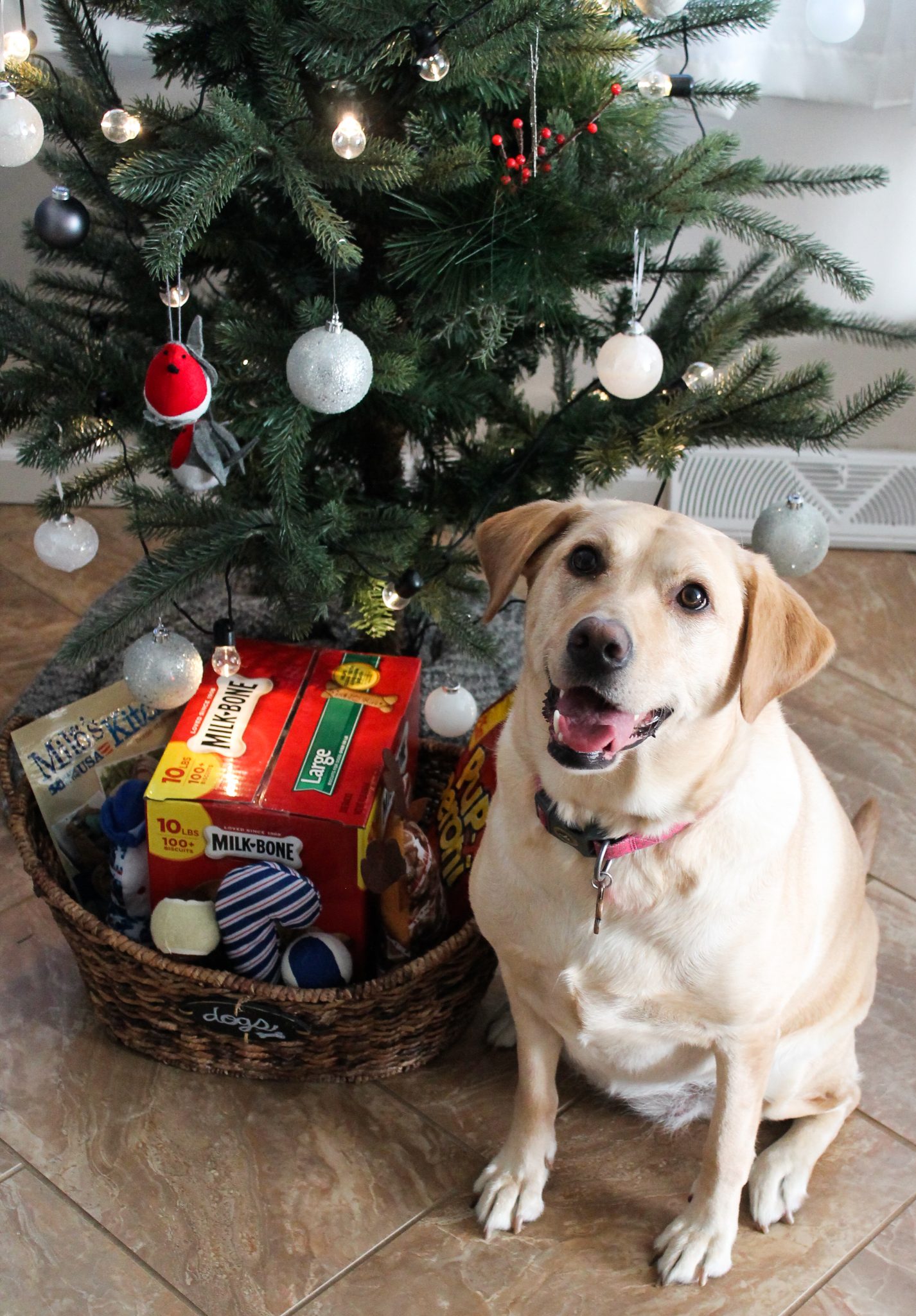 How to Assemble the Perfect Present for Your Pup