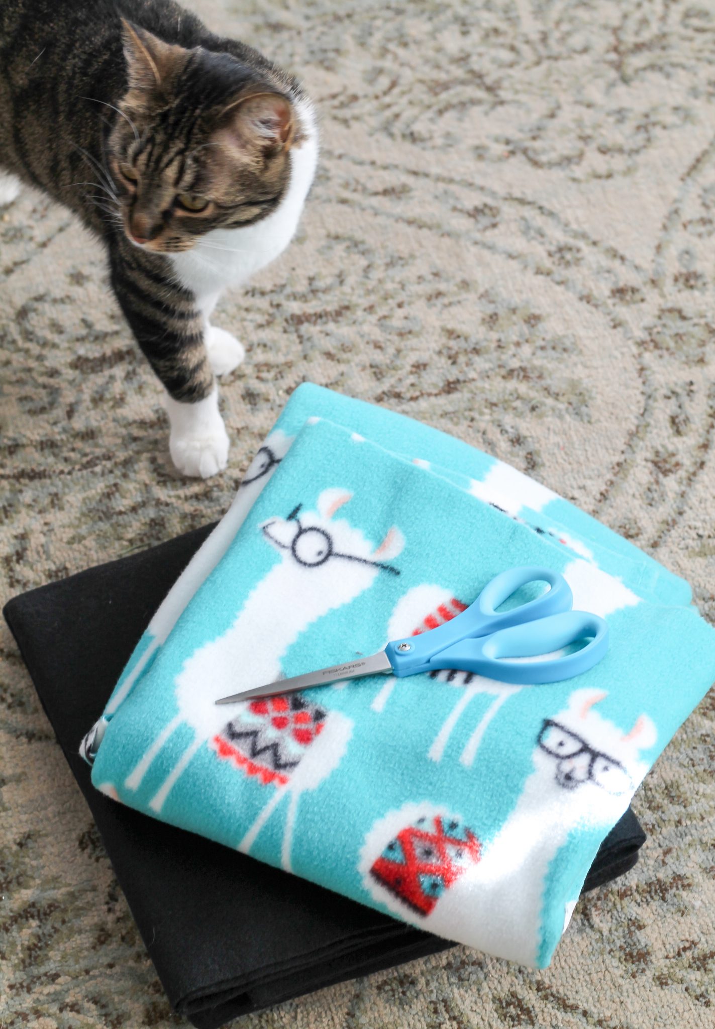 DIY Cat Blanket