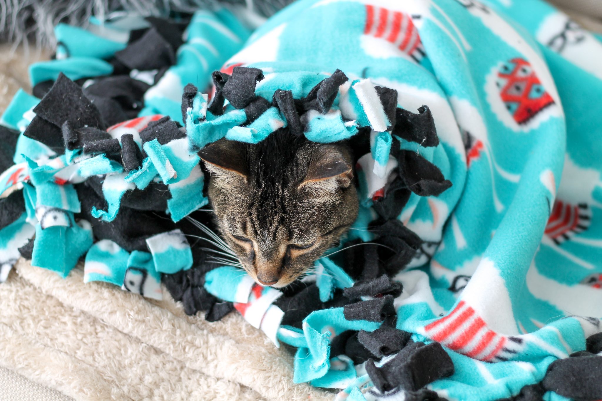 DIY Cat Blanket