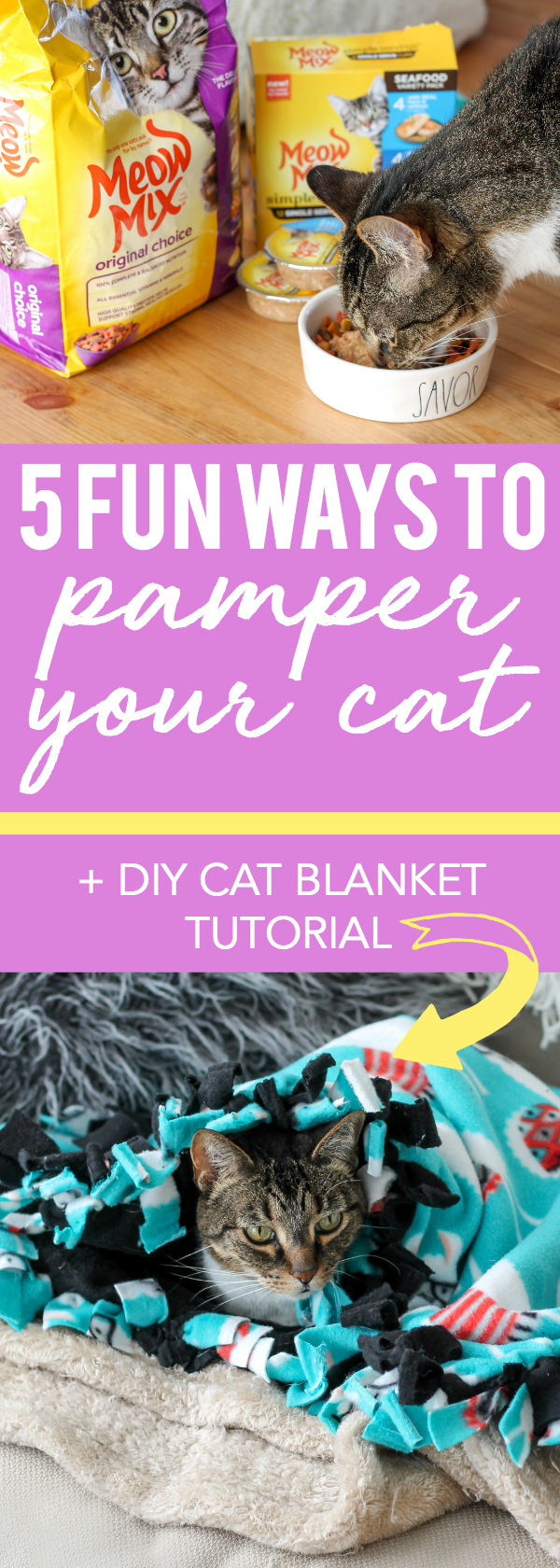 5 Fun Ways to Pamper Your Cat