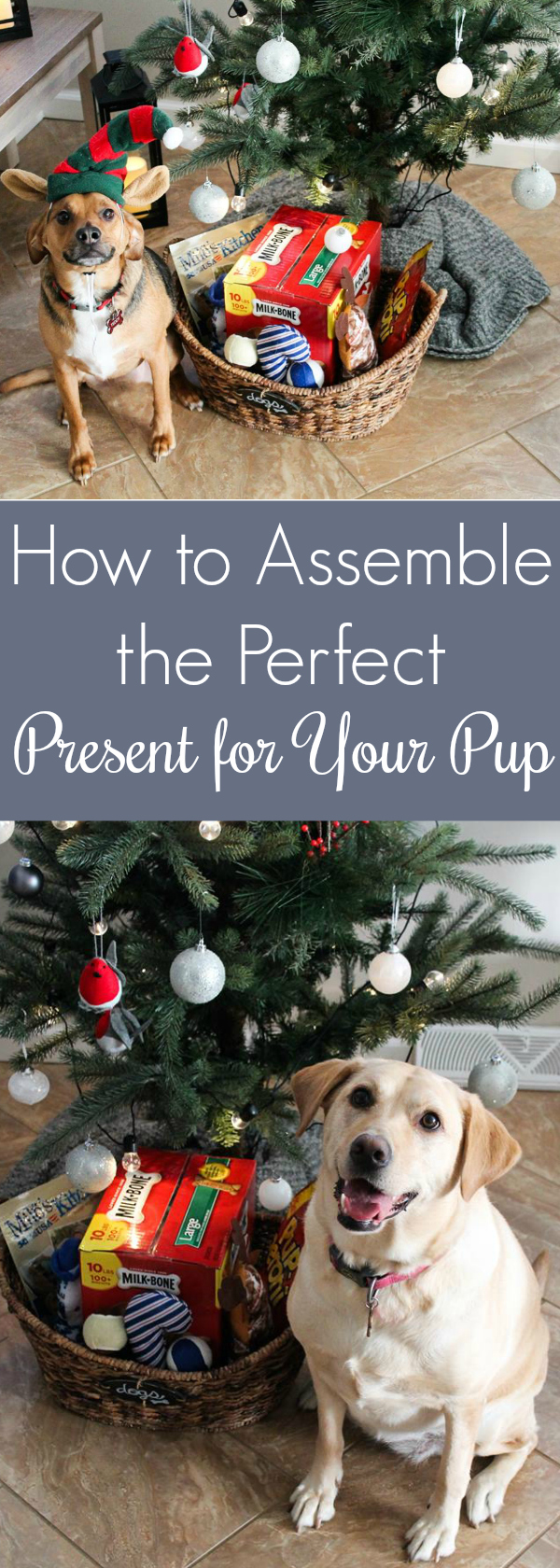 How to Assemble the Perfect Present for Your Pup