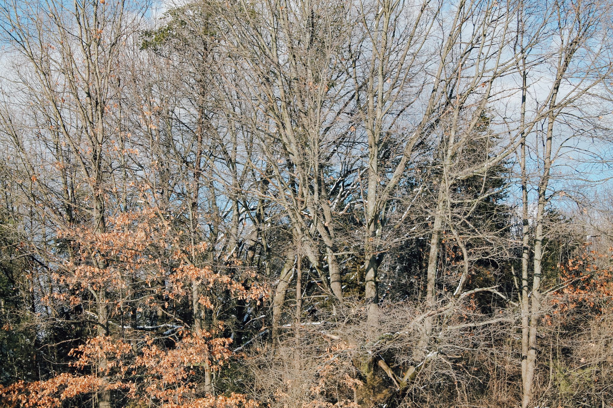 Why I'll Be Spending More Time Outdoors