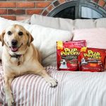 Best Treats for Dogs: Treating the Pups to Pup-Peroni®