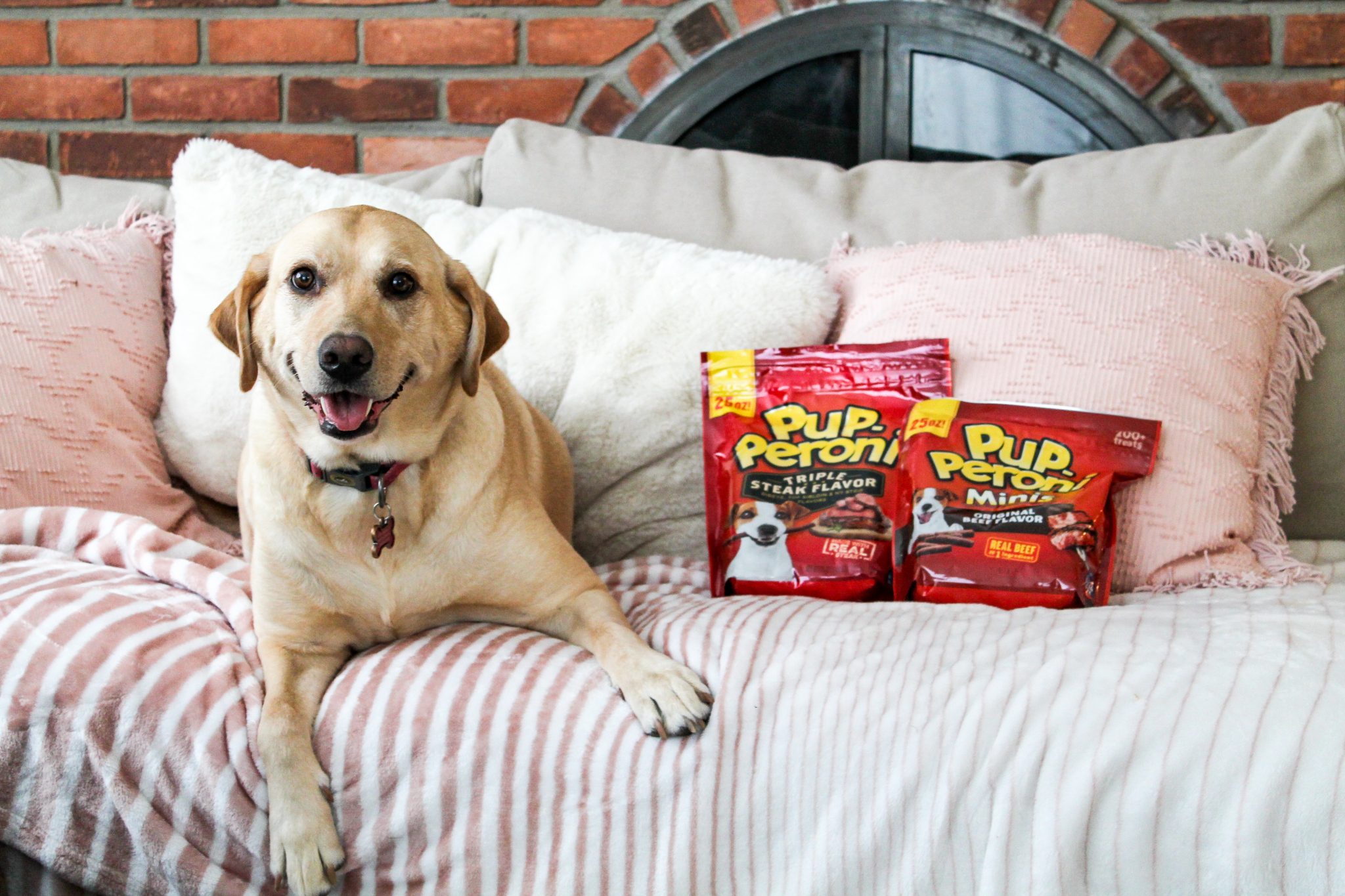 best treats for dogs