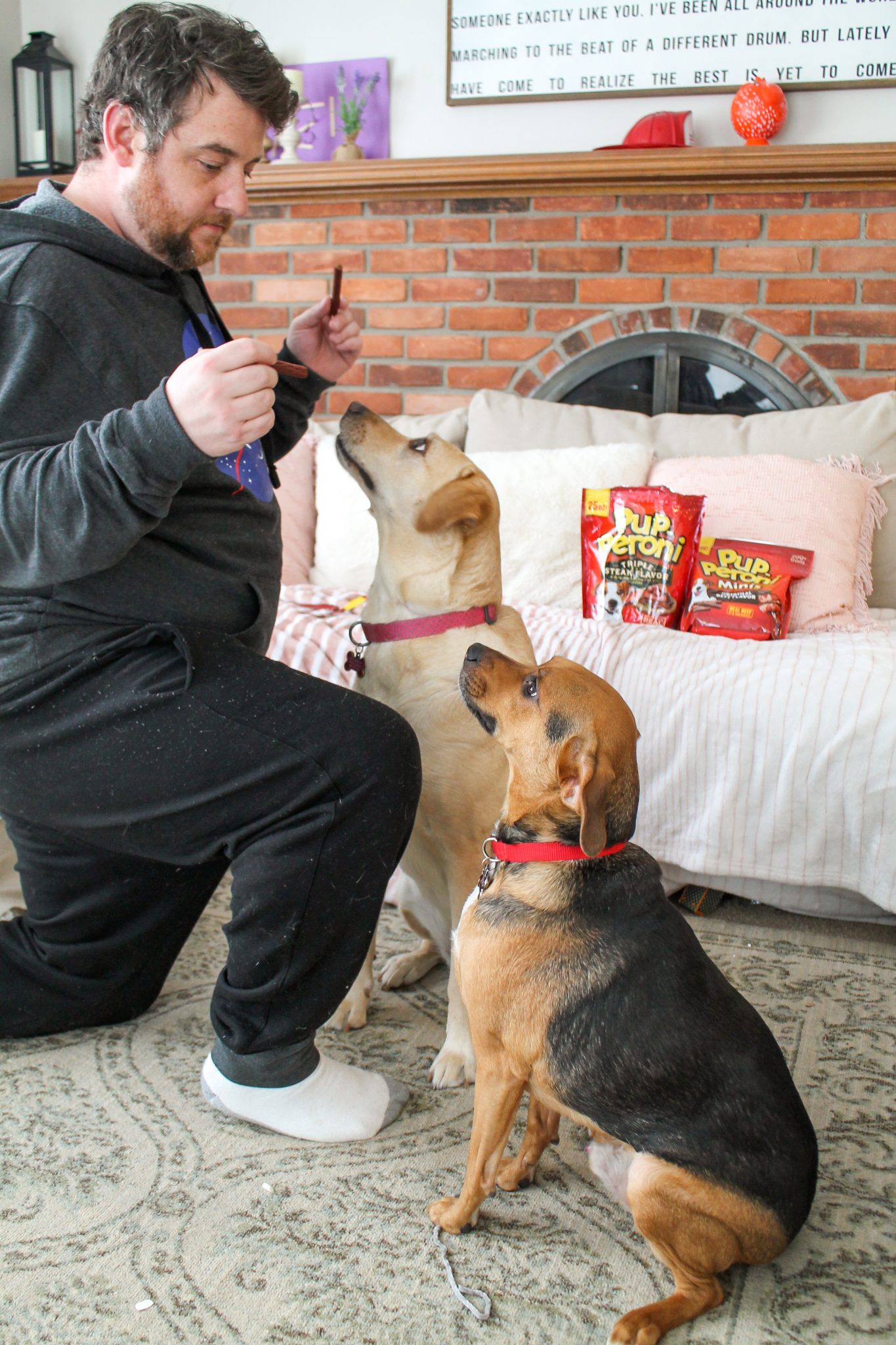 best treats for dogs