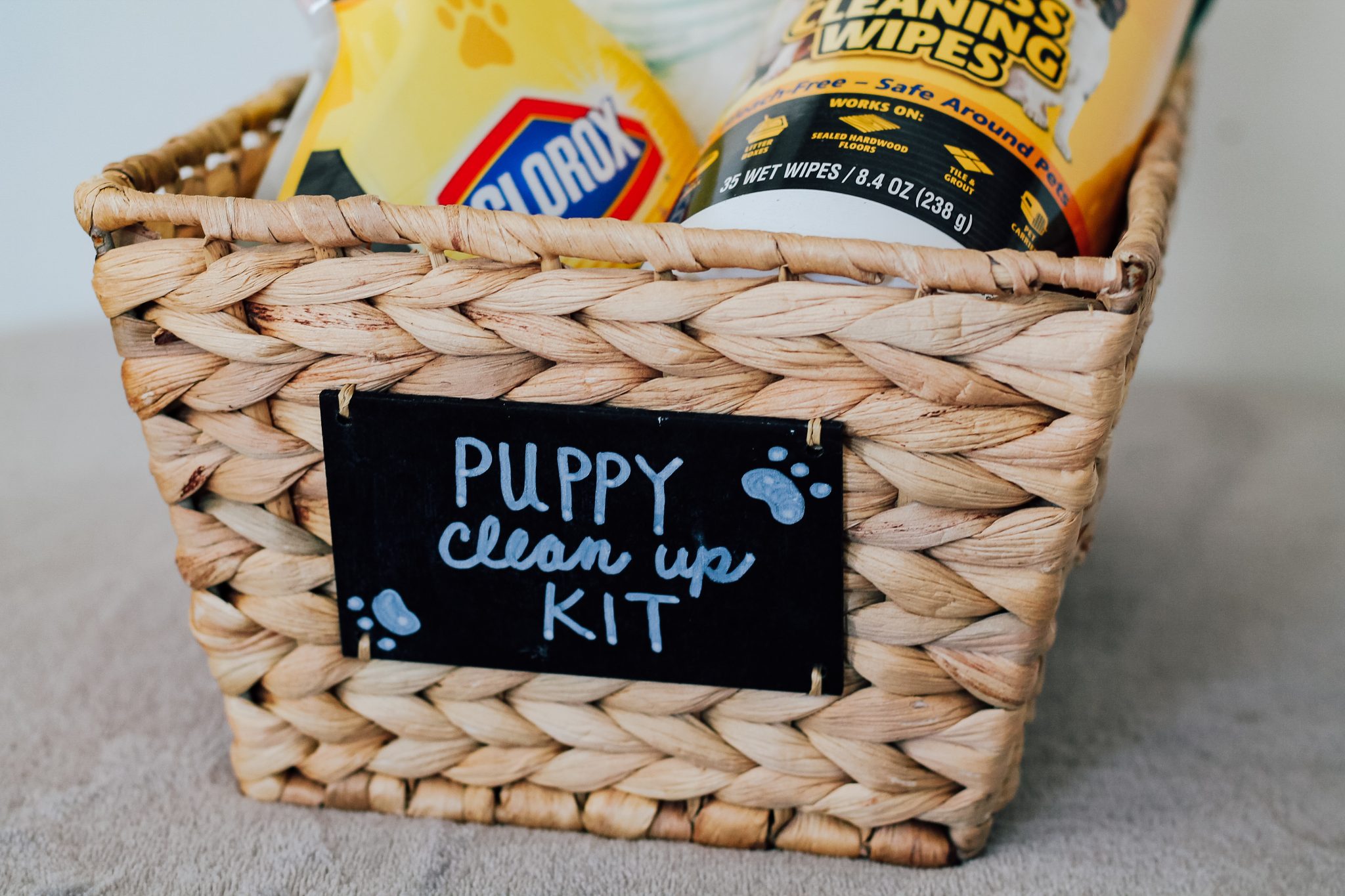 How to Create the Ultimate Puppy Clean-Up Kit