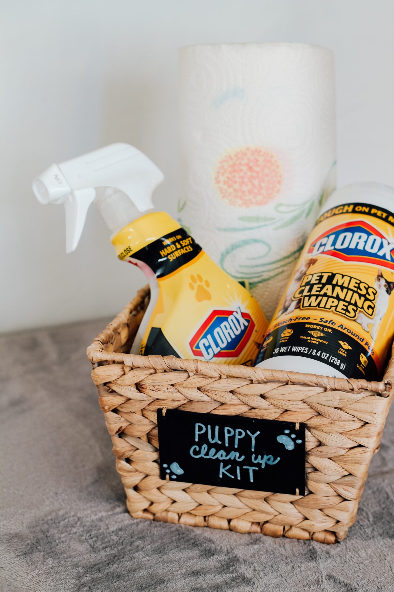 How to Create the Ultimate Puppy Clean-Up Kit