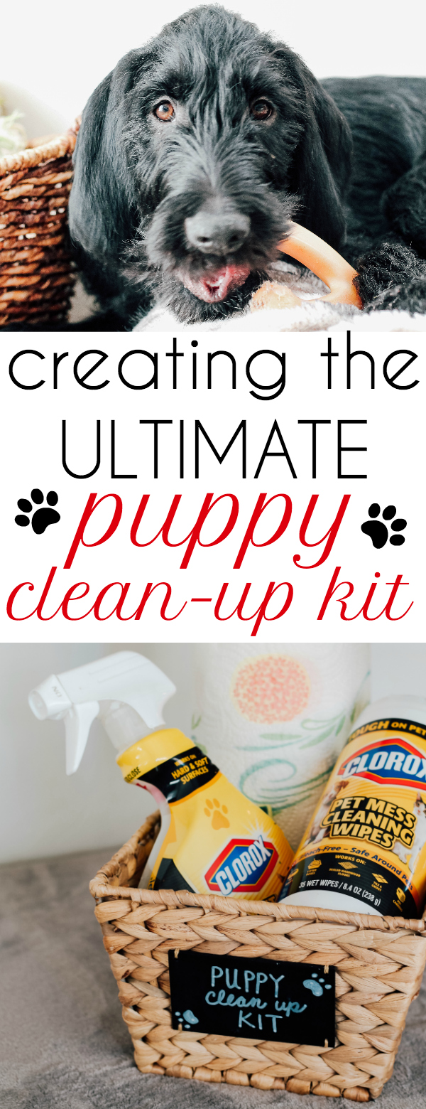 How to Create the Ultimate Puppy Clean-Up Kit
