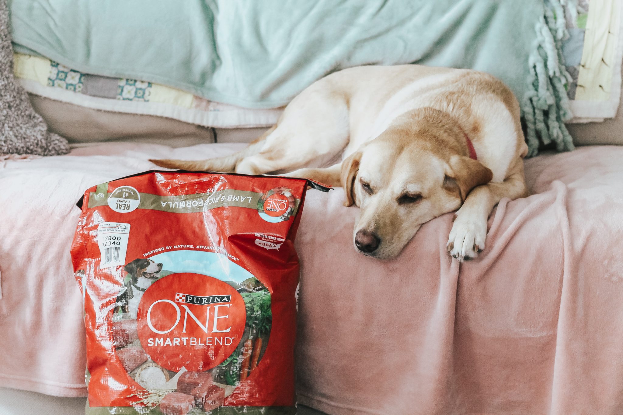 Taking the Purina ONE® 28-Day Challenge