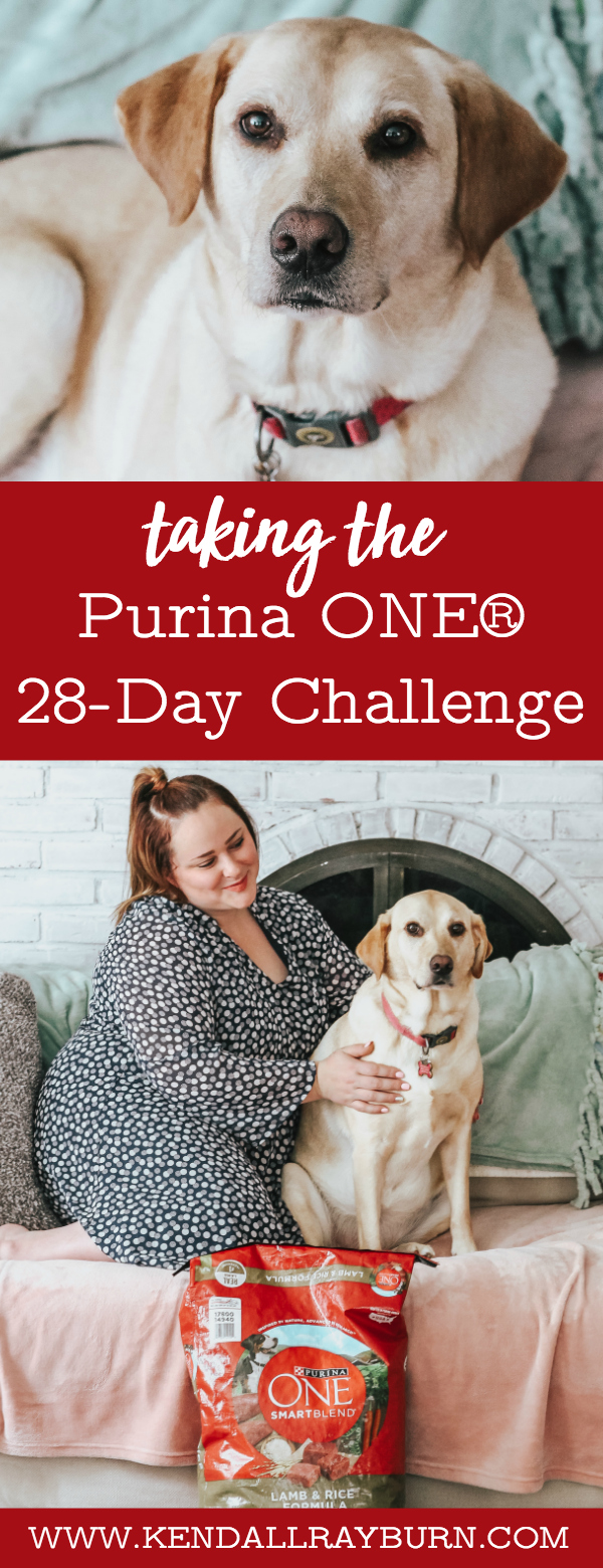 Taking the Purina ONE® 28-Day Challenge