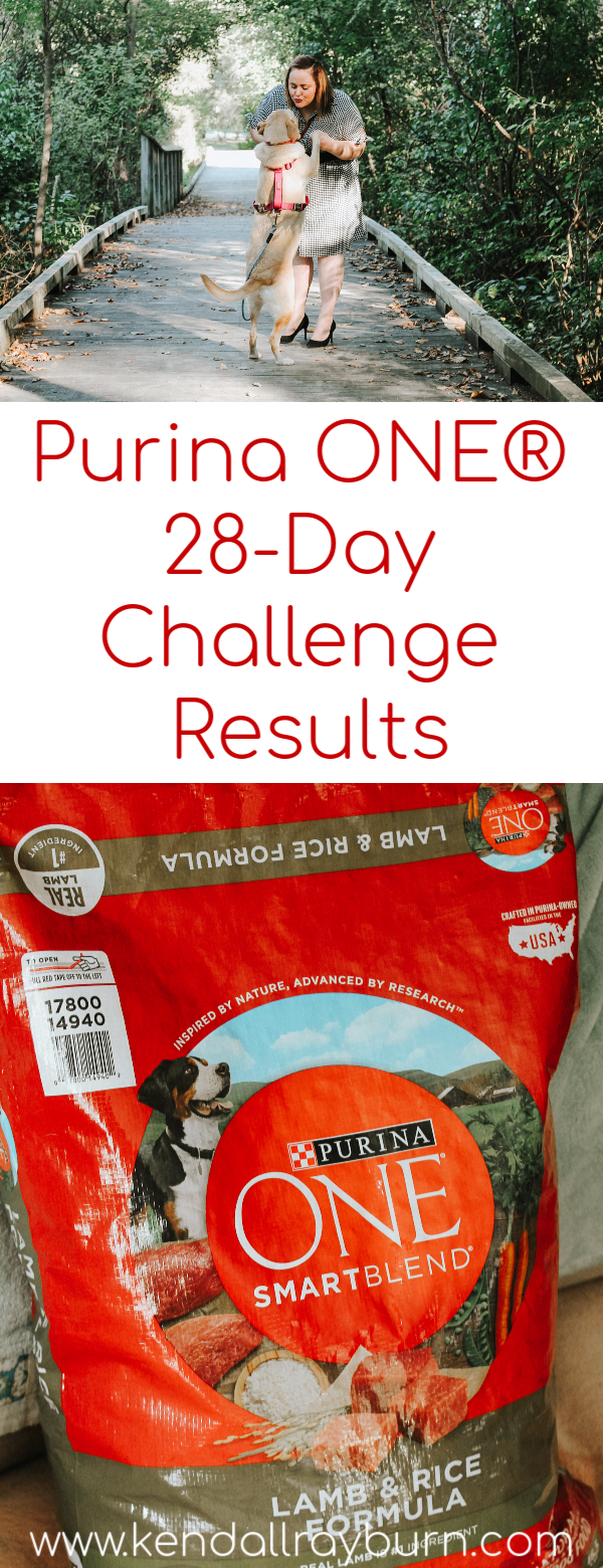 Purina ONE® 28-Day Challenge Results