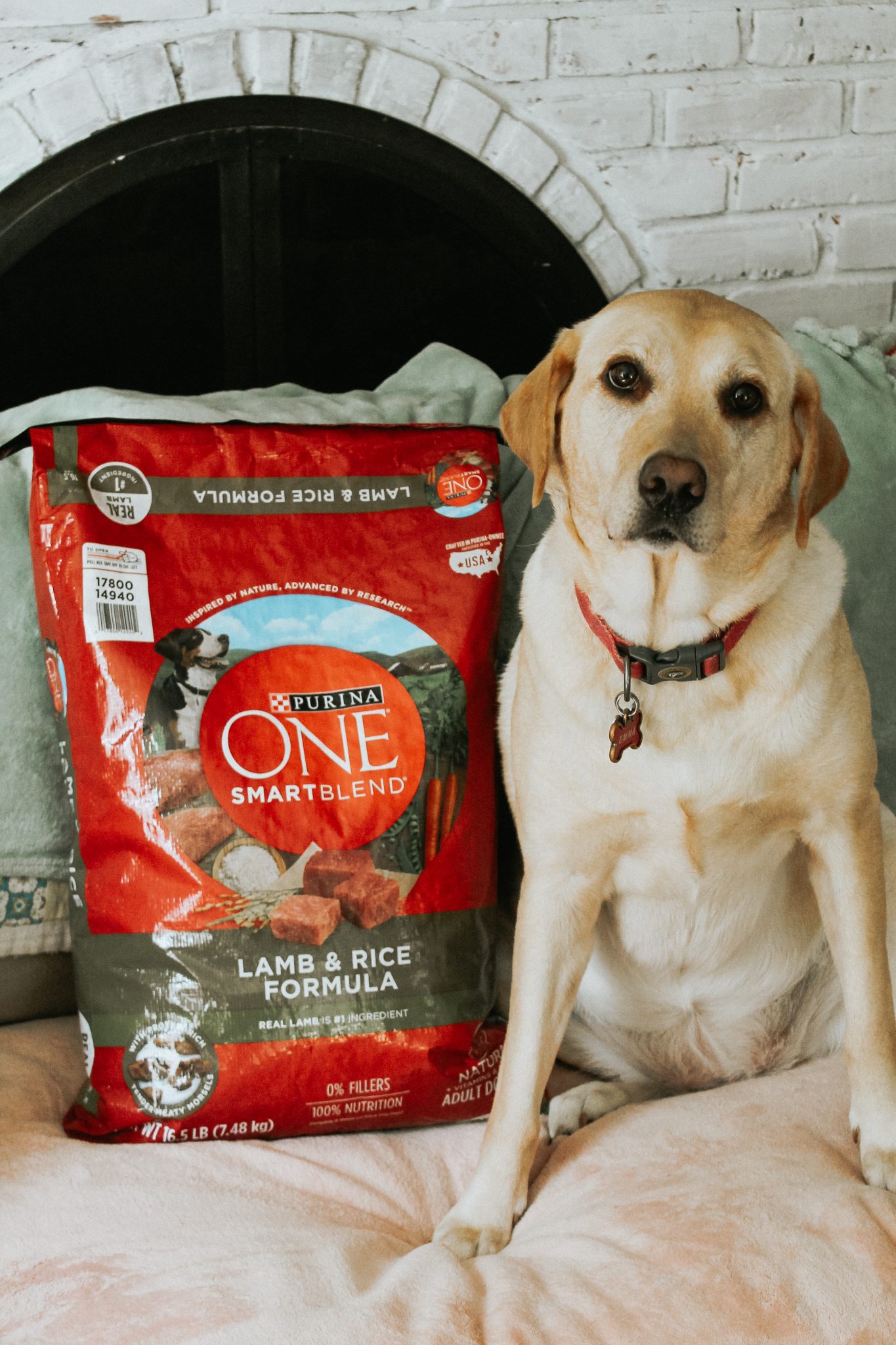 Purina ONE® 28-Day Challenge Results