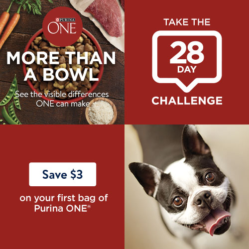 Purina ONE® 28-Day Challenge Results