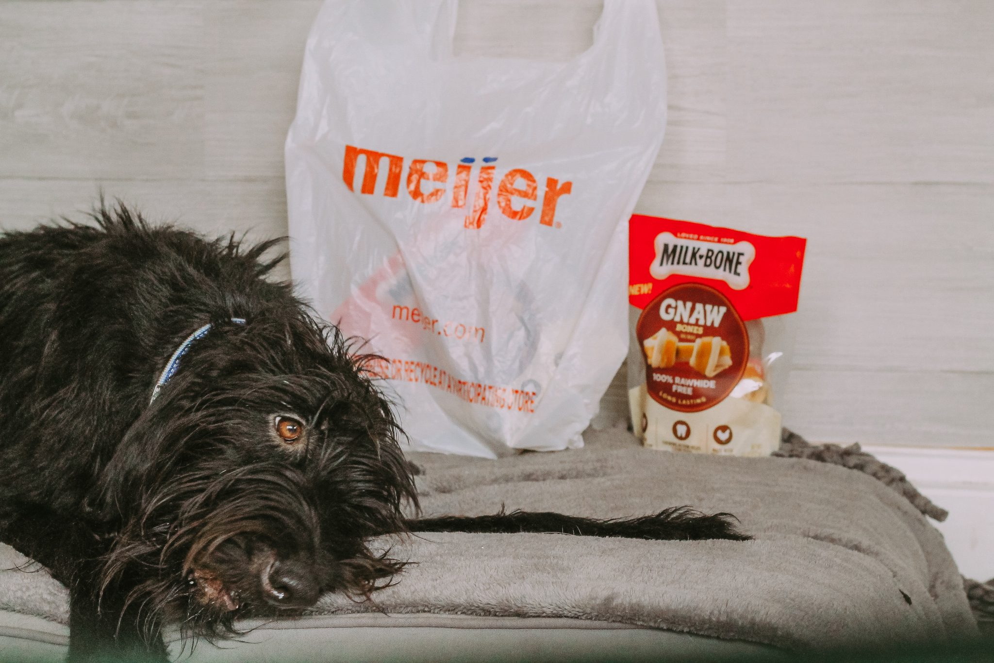 Milk-Bone® Wonder Bones & Gnaw Bones At Meijer