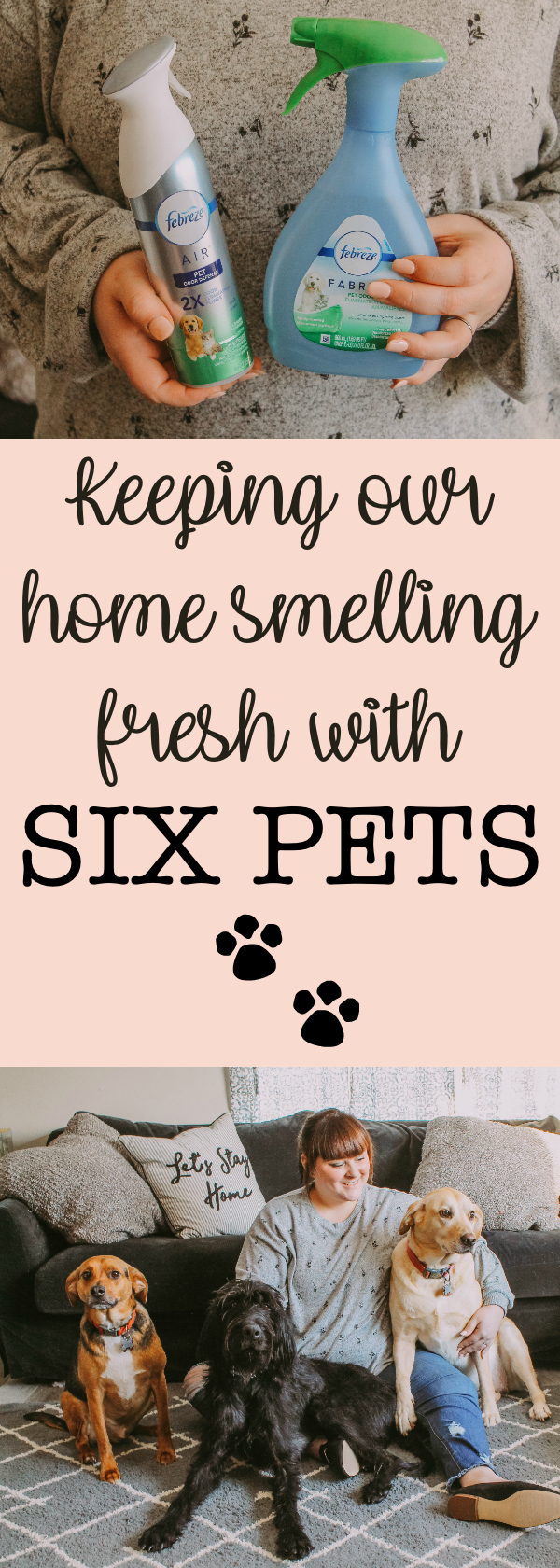 Keeping Our Home Smelling Fresh with Six Pets