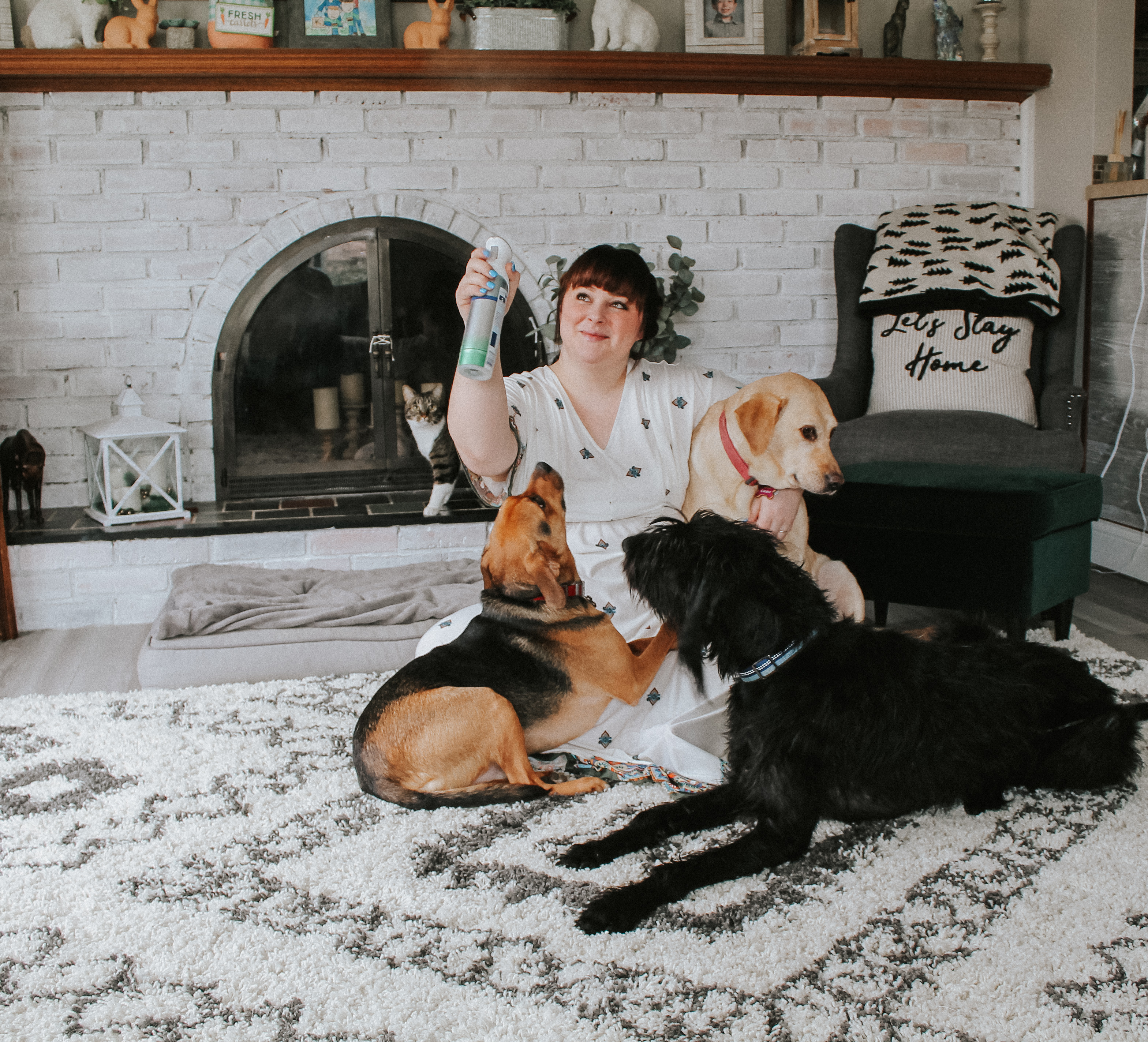 How We Keep Our Home with Six Rescue Pets Smelling Fresh