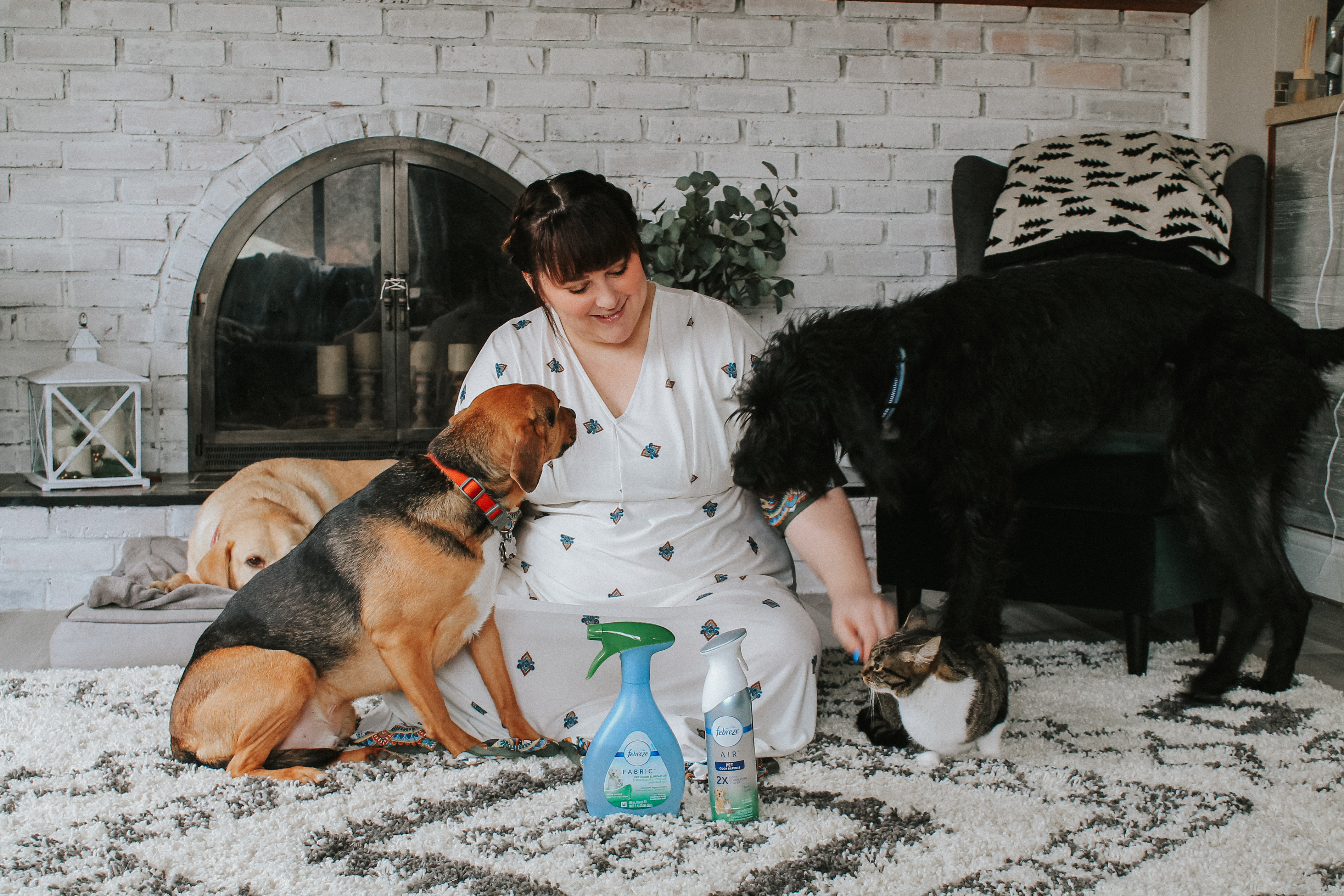 How We Keep Our Home with Six Rescue Pets Smelling Fresh