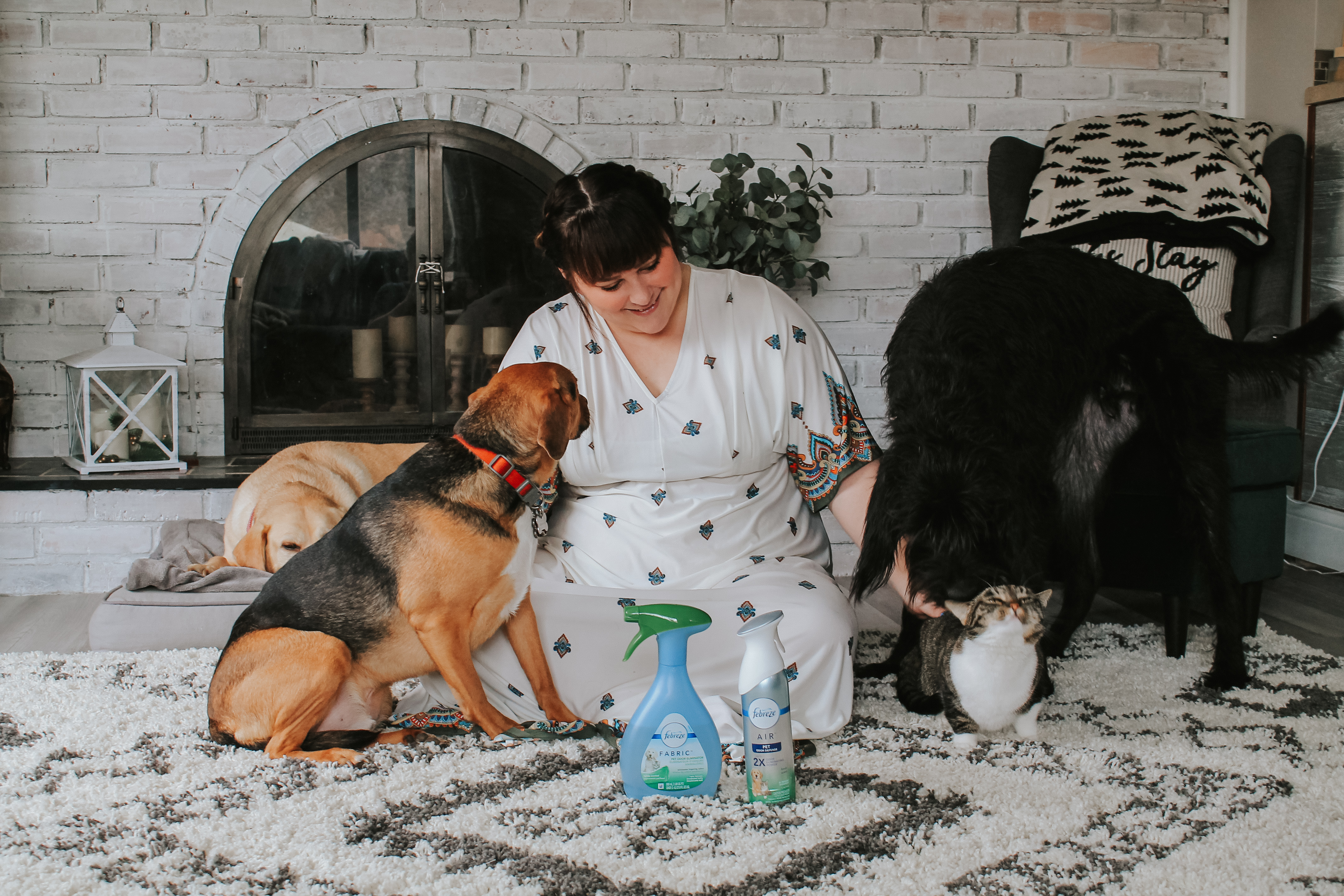 How We Keep Our Home with Six Rescue Pets Smelling Fresh