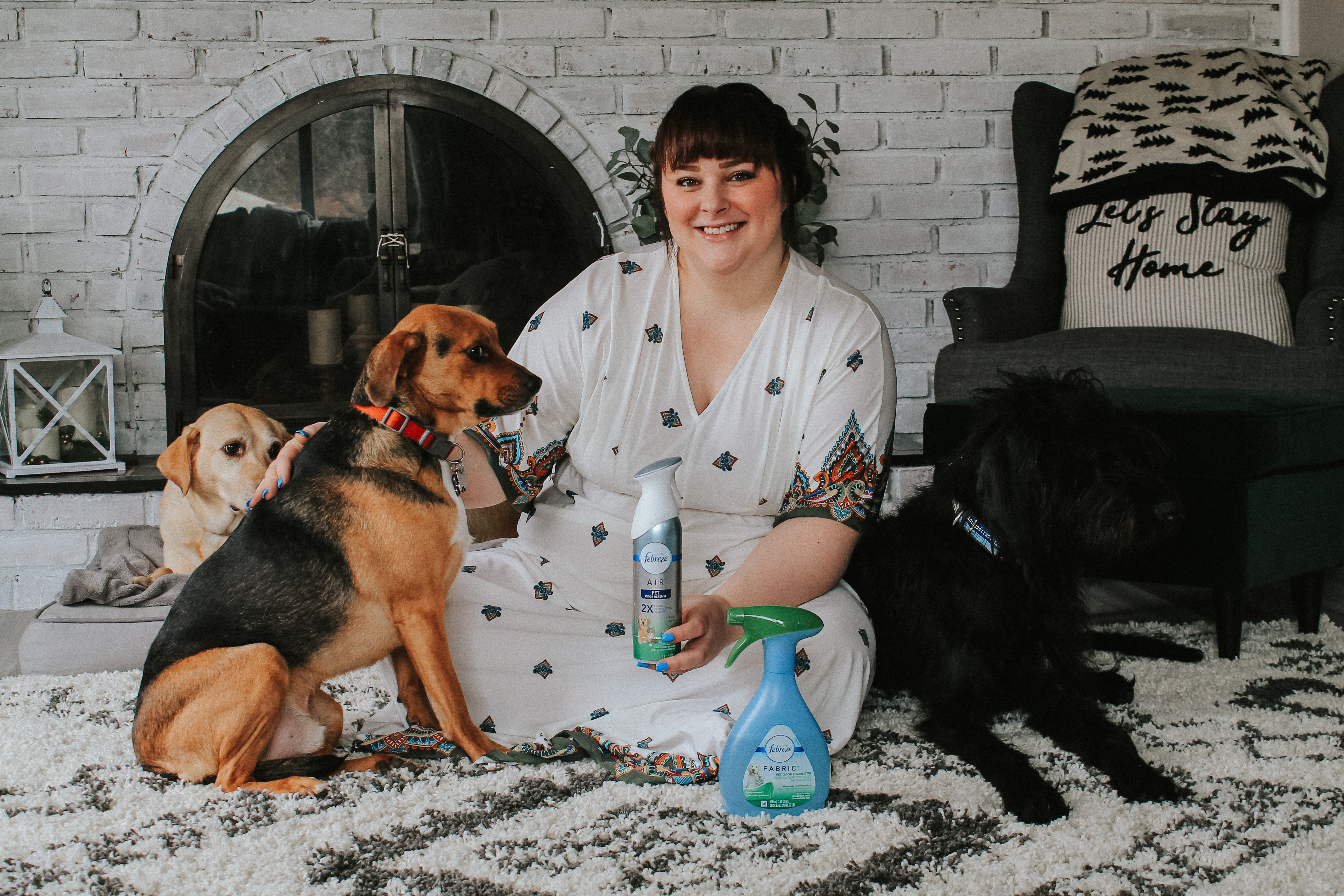 How We Keep Our Home with Six Rescue Pets Smelling Fresh