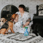 How We Keep Our Home with Six Rescue Pets Smelling Fresh