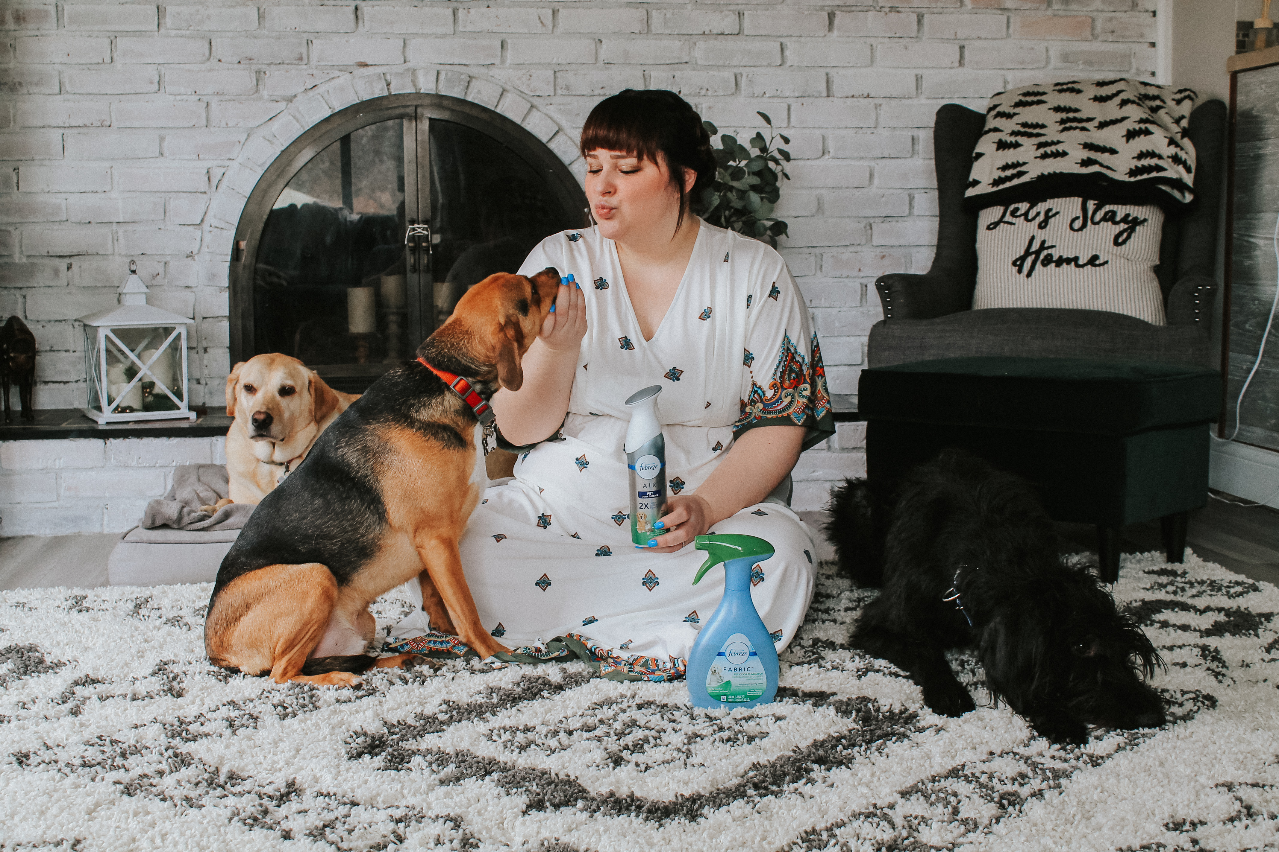 How We Keep Our Home with Six Rescue Pets Smelling Fresh