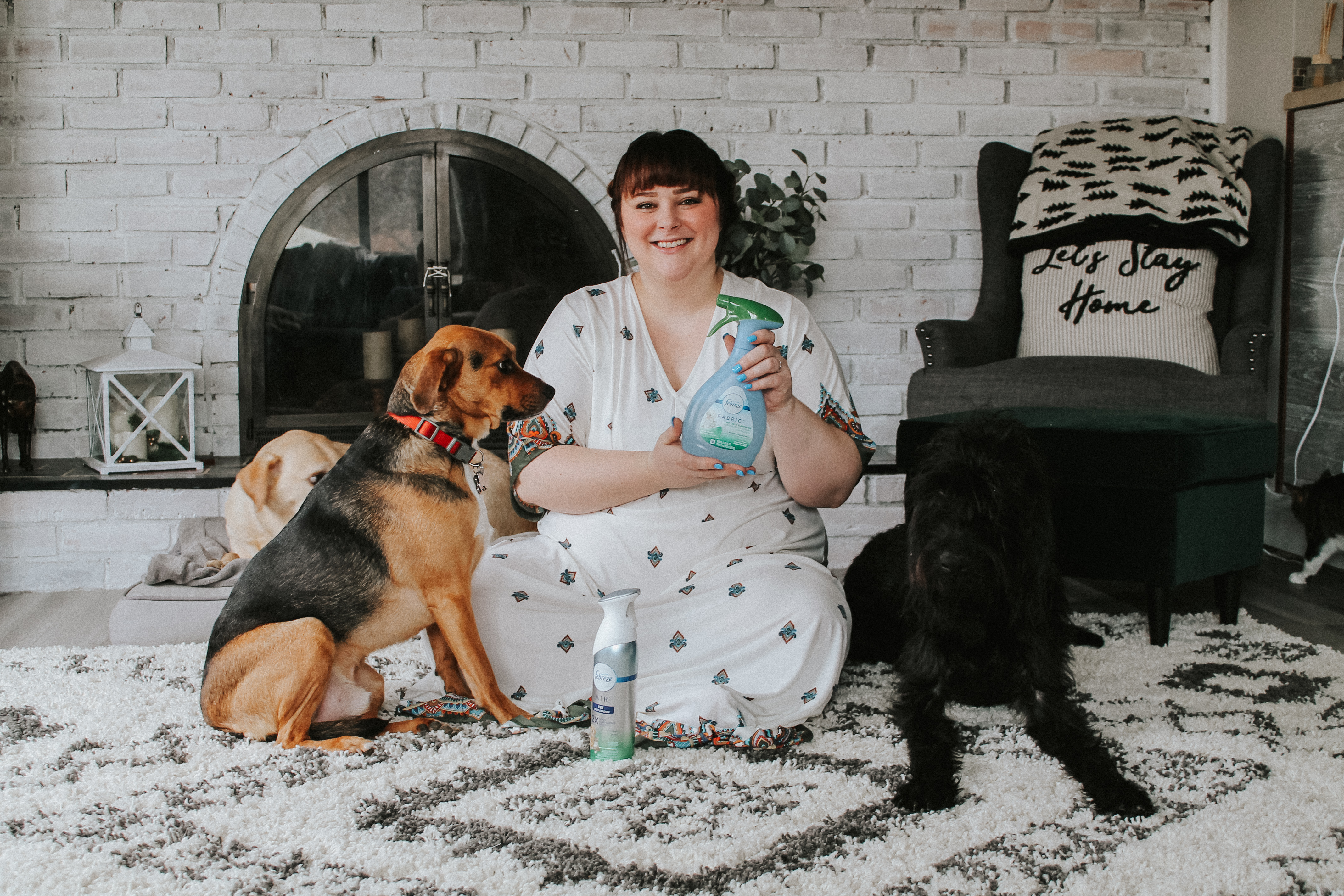 How We Keep Our Home with Six Rescue Pets Smelling Fresh