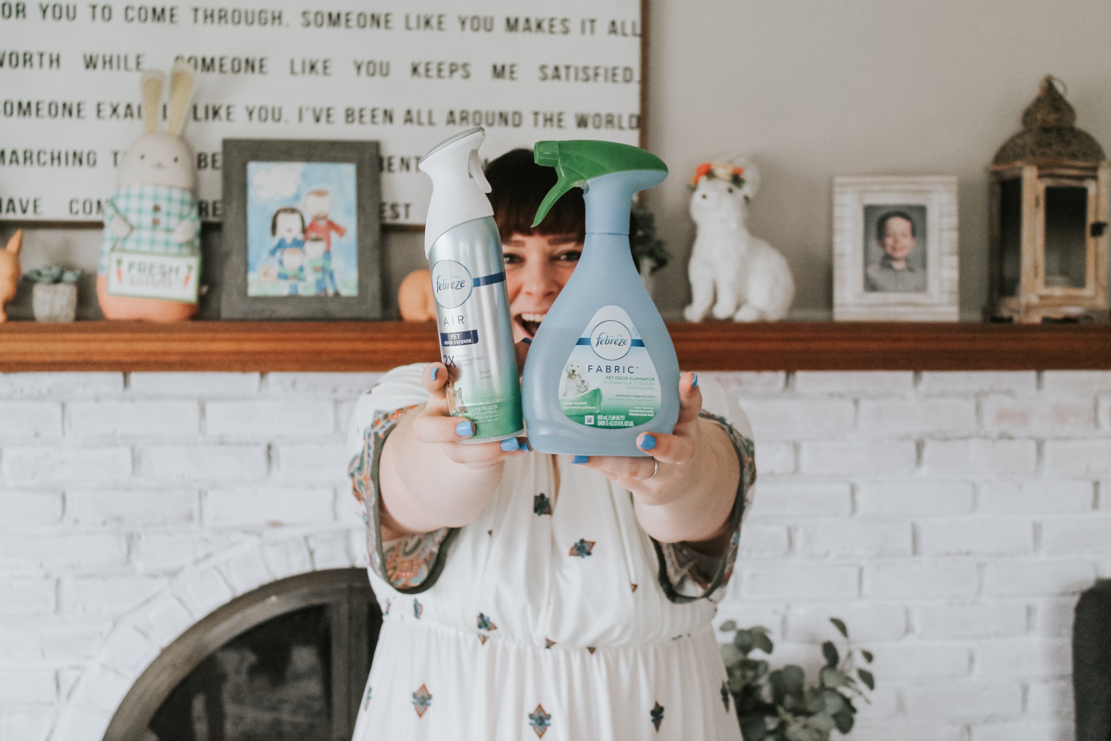 How We Keep Our Home with Six Rescue Pets Smelling Fresh