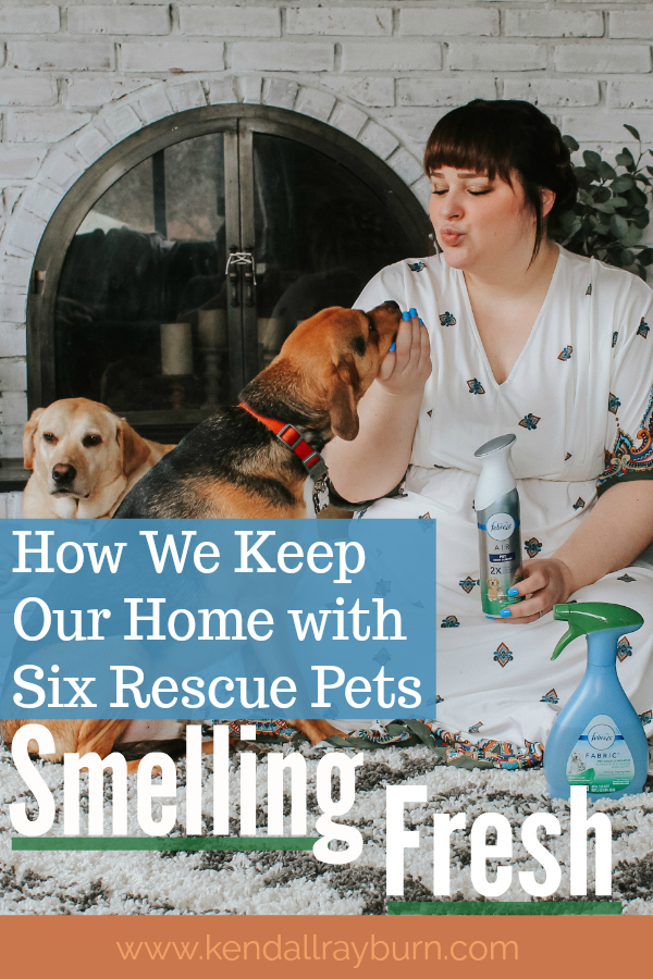 How We Keep Our Home with Six Rescue Pets Smelling Fresh