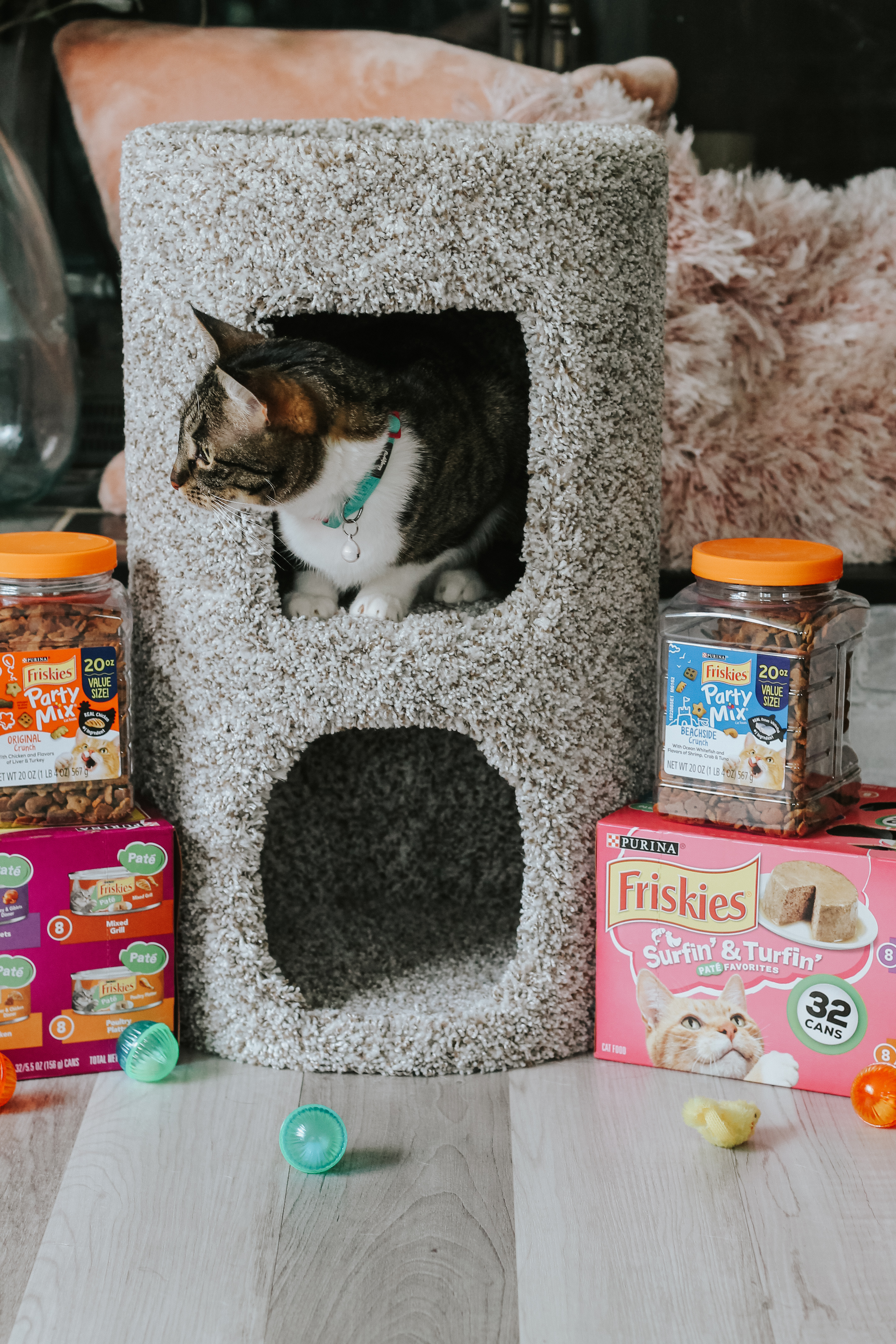 Tractor Supply Co. Top Picks for Cats